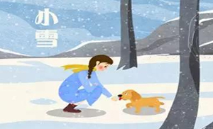 安氏亞森板材：小雪丨花開天下暖，葉落天下寒